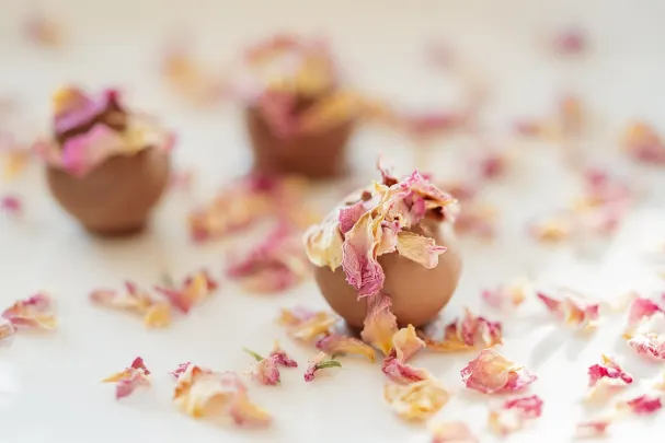 88Goals Casino App Android/iOS